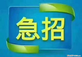 招财务，有会计证的，熟手会计1.1万底薪，上海五险一金，包住，包工作餐，做六休一 - 桂林巨龙人才网 www.35rcw.com
